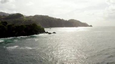 Karayip denizindeki Tobago adasının güzel hava manzarası. Tropikal Idyllic Cennet Adası 'ndaki Palm Beach - Karayipler 