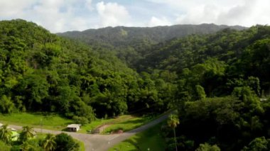 Karayip denizindeki Tobago adasının güzel hava manzarası. Tropikal Idyllic Cennet Adası 'ndaki Palm Beach - Karayipler 