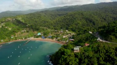 Karayip denizindeki Tobago adasının güzel hava manzarası. Tropikal Idyllic Cennet Adası 'ndaki Palm Beach - Karayipler 
