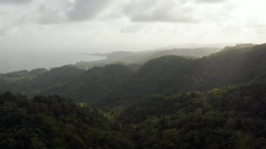 Tobago Adası, Trinidad ve Tobago, Karayip Denizi 'ndeki ormanın güzel doğal manzarası. Arka planda dağlar ve okyanus olan tropik yeşil orman, hava manzaralı drone görüntüsü