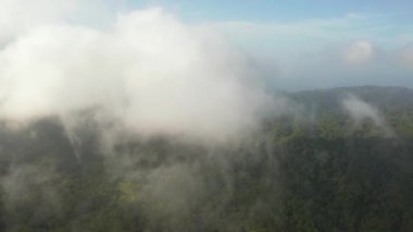 Tobago Adası, Trinidad ve Tobago, Karayip Denizi 'ndeki ormanın güzel doğal manzarası. Arka planda dağlar ve okyanus olan tropik yeşil orman, hava manzaralı drone görüntüsü