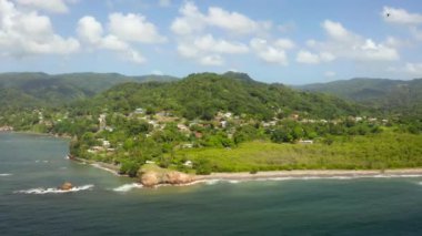 Palmiye ağaçlarının panoramik hava manzarası, mavi lagün, Trinidad ve Tobago 'daki beyaz kumlu sahil