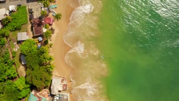 Bela Vista Aérea Ilha Tobago Mar Das Caraíbas Palm Beach — Vídeo de Stock