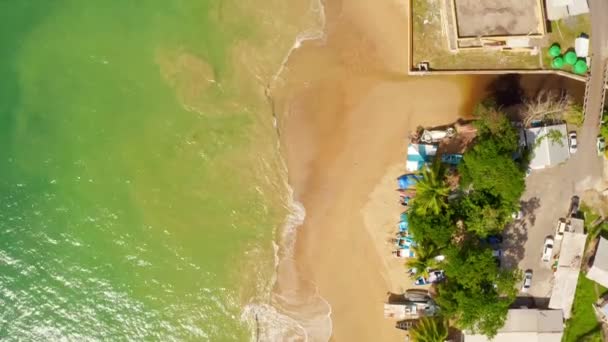 Bela Vista Aérea Ilha Tobago Mar Das Caraíbas Palm Beach — Vídeo de Stock