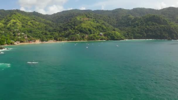 Belle Vue Aérienne Île Tobago Dans Mer Des Caraïbes Palm — Video