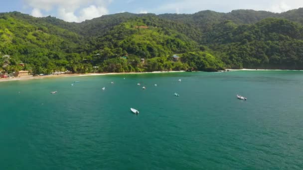 Krásný Letecký Výhled Ostrov Tobago Karibském Moři Palm Beach Tropickém — Stock video