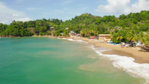 Prachtig Uitzicht Vanuit Lucht Het Tobago Eiland Caribische Zee Palm — Stockvideo