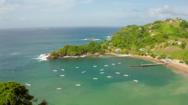 Beautiful Aerial View Tobago Island Caribbean Sea Palm Beach Tropical — Stock Video