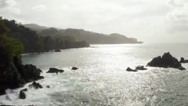 Prachtig Uitzicht Vanuit Lucht Het Tobago Eiland Caribische Zee Palm — Stockvideo