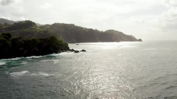 加勒比海中多巴哥岛美丽的海景 热带Idyllic天堂岛棕榈滩 加勒比 — 图库视频影像