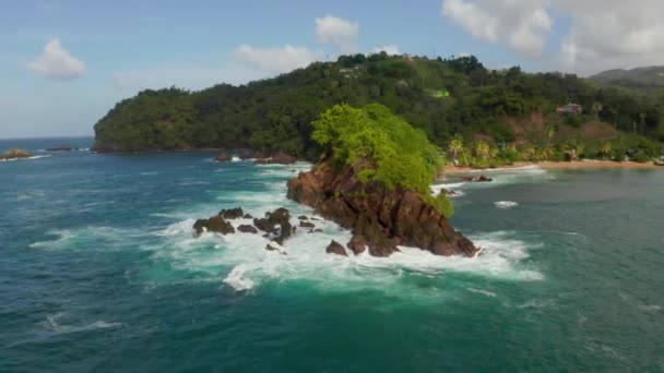 Schöne Luftaufnahme Der Tobago Insel Der Karibik Palmenstrand Tropischer Paradiesinsel — Stockvideo