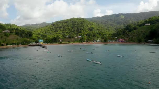 Schöne Luftaufnahme Der Tobago Insel Der Karibik Palmenstrand Tropischer Paradiesinsel — Stockvideo