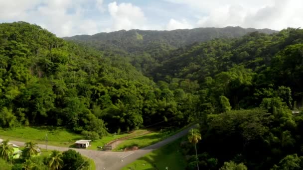 Belle Vue Aérienne Île Tobago Dans Mer Des Caraïbes Palm — Video