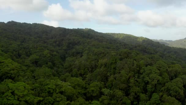 トバゴ島 トリニダード トバゴ カリブ海のジャングルの美しい自然景観 背景に山や海のある熱帯緑の森 空中ビュードローンショット — ストック動画