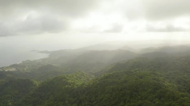 Piękne Naturalne Krajobrazy Dżungli Wyspie Tobago Trynidad Tobago Morze Karaibskie — Wideo stockowe