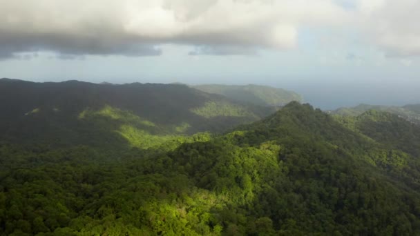 トバゴ島 トリニダード トバゴ カリブ海のジャングルの美しい自然景観 背景に山や海のある熱帯緑の森 空中ビュードローンショット — ストック動画