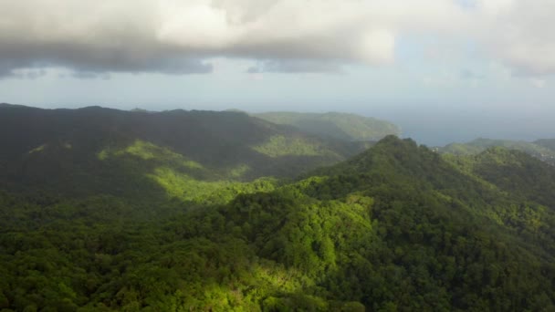 Beaux Paysages Naturels Jungle Dans Île Tobago Trinité Tobago Mer — Video