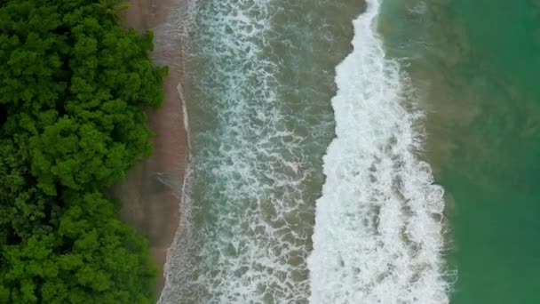 楽園の空中風景熱帯の島のビーチ 海岸線による巨大な波と日の出のシーン — ストック動画