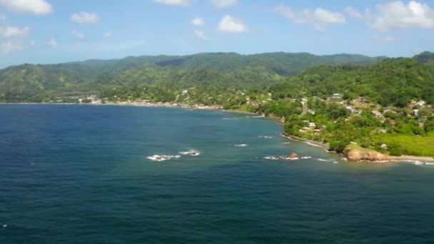 Panorámás Légi Kilátás Pálmafák Kék Lagúna Fehér Homokos Strand Trinidad — Stock videók