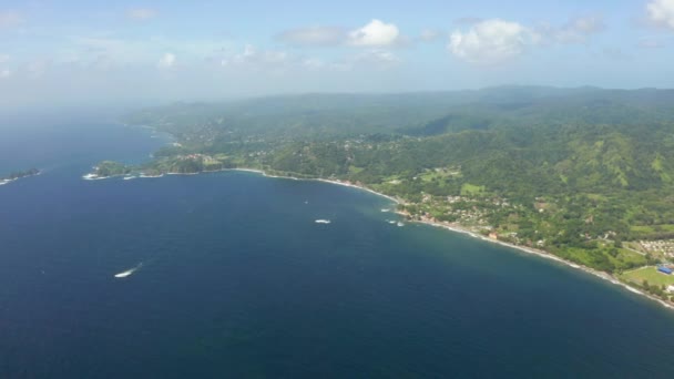 特立尼达和多巴哥棕榈树 蓝色泻湖 白色沙滩的全景鸟瞰 — 图库视频影像