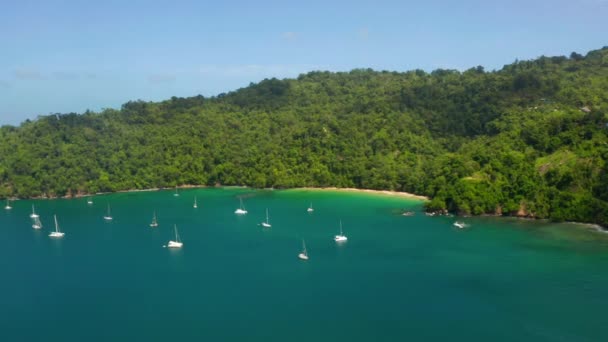 Panorámás Légi Kilátás Pálmafák Kék Lagúna Fehér Homokos Strand Trinidad — Stock videók