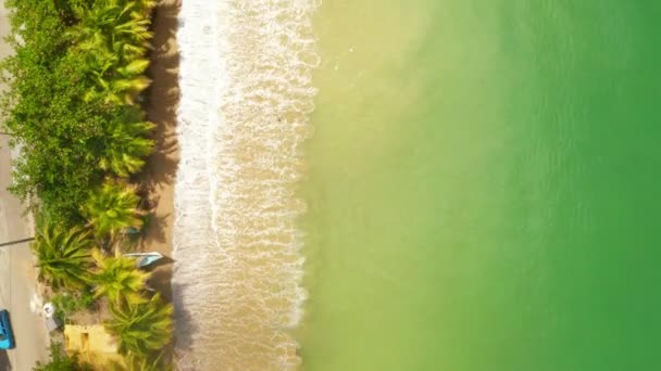 Palmen Blaue Lagune Weißer Sandstrand Trinidad Und Tobago — Stockvideo