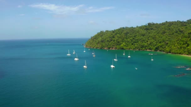 Panoramiczny Widok Powietrza Palmy Błękitną Lagunę Piaszczystą Plażę Trynidadzie Tobago — Wideo stockowe