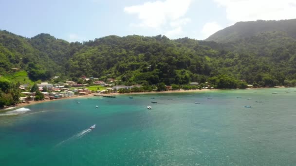 Vista Aérea Panorámica Palmeras Laguna Azul Playa Arena Blanca Trinidad — Vídeo de stock