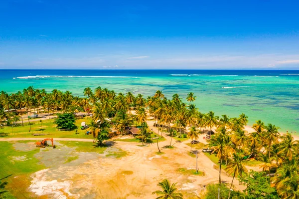 Tropikalnej Plaży Morza Palm Dronów Seszele Sławny Rekin Beach Zdjęcie — Zdjęcie stockowe
