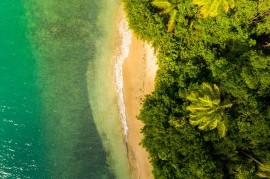 Boş cennet plajı, adada mavi deniz dalgaları. Güzel tropik ada. Tatil ve tatil konsepti.