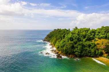 Güzel tropik Barbados adası. Palmiyeler ve kristal berrak suyla altın plajı görmek. Mükemmel tatil geçmişi.