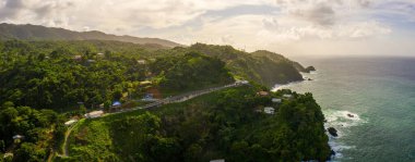 Güzel tropik Barbados adası. Palmiyeler ve kristal berrak suyla altın plajı görmek. Mükemmel tatil geçmişi.