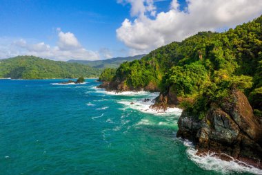 Güzel tropik Barbados adası. Palmiyeler ve kristal berrak suyla altın plajı görmek. Mükemmel tatil geçmişi.