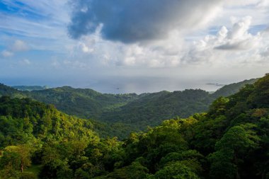 Tropikal ada ormanının güzel manzarası. Gün batımında ağaçlarla kaplı kocaman tepeler..