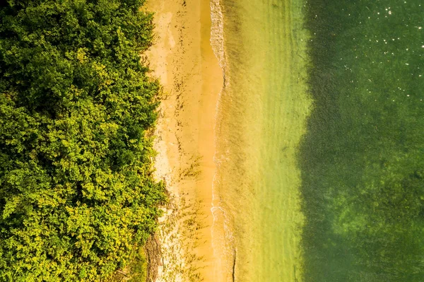 Vackra Tropiska Barbados Utsikt Över Den Gyllene Stranden Med Palmer — Stockfoto