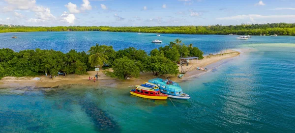 Bela Ilha Tropical Barbados Vista Praia Dourada Com Palmas Água — Fotografia de Stock