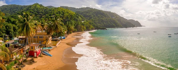 Прекрасный Тропический Остров Барбадос Вид Золотой Пляж Пальмами Кристально Чистой — стоковое фото