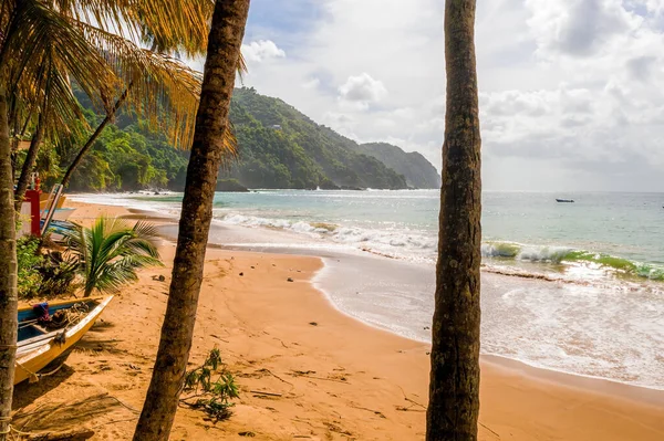 Krásný Tropický Ostrov Barbados Pohled Zlatou Pláž Palmami Křišťálově Čistou — Stock fotografie