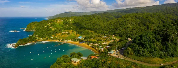 美しい熱帯バルバドス島 ヤシと透明な水で黄金のビーチの景色 完璧な休日の背景 — ストック写真