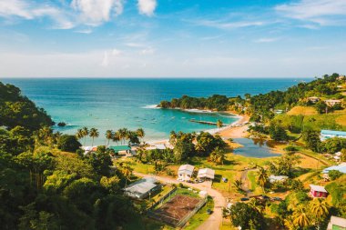 Güzel tropik Barbados adası. Palmiyeler ve kristal berrak suyla altın plajı görmek. Mükemmel tatil geçmişi.