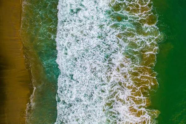Prachtig Tropisch Strand Vlakbij Kust Met Enorme Golven Hoge Palmbomen — Stockfoto