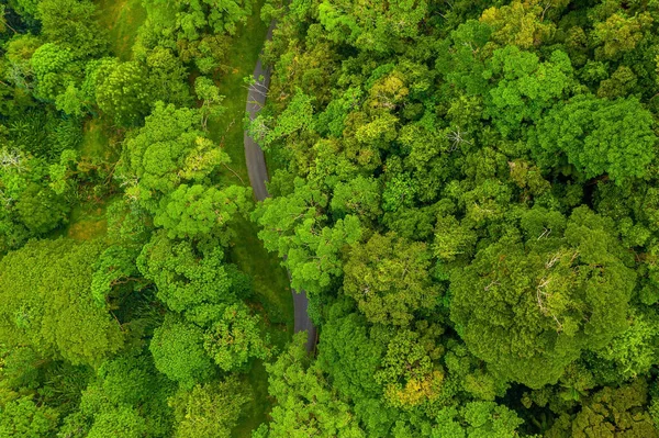 Beautiful panorama of the tropical island forest. Huge hills covered in trees at sunset.