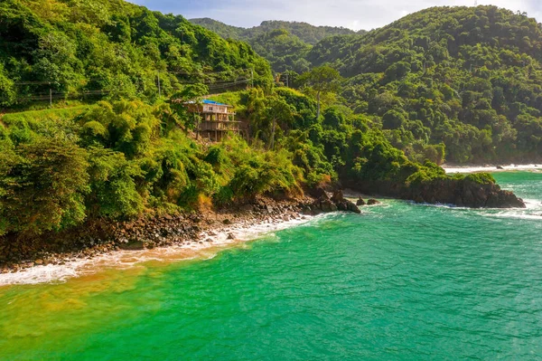 美しい熱帯バルバドス島 ヤシと透明な水で黄金のビーチの景色 完璧な休日の背景 — ストック写真