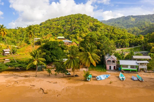 Чудовий Тропічний Острів Барбадос Вигляд Золотий Пляж Долонями Чистою Кришталевою — стокове фото