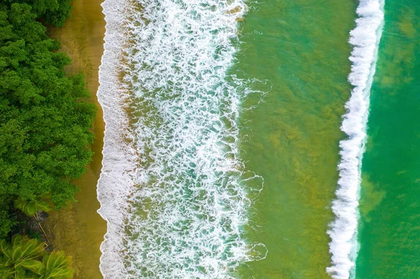 美丽的热带海滩靠近海岸 海浪汹涌 棕榈树高耸 假日的背景 — 图库照片