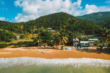 Güzel tropik Barbados adası. Palmiyeler ve kristal berrak suyla altın plajı görmek. Mükemmel tatil geçmişi.