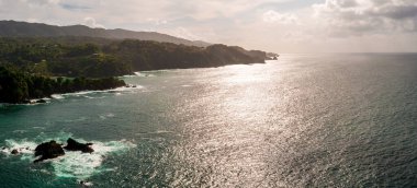 Güzel tropik Barbados adası. Palmiyeler ve kristal berrak suyla altın plajı görmek. Mükemmel tatil geçmişi.