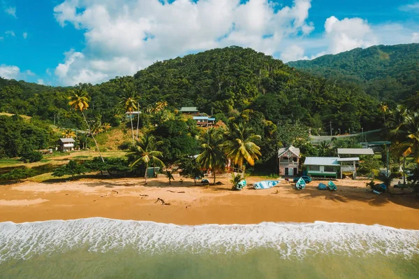 Belle Île Tropicale Barbade Vue Sur Plage Dorée Avec Palmiers — Photo