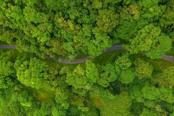 Όμορφο Πανόραμα Του Τροπικού Δάσους Νησί Τεράστιοι Λόφοι Καλυμμένοι Δέντρα — Φωτογραφία Αρχείου