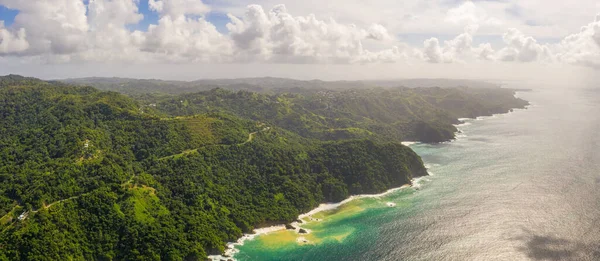 Bela Ilha Tropical Barbados Vista Praia Dourada Com Palmas Água — Fotografia de Stock